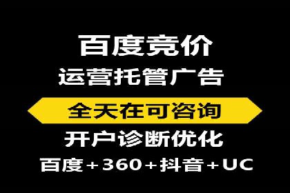 实战技巧：竞价推广案例解析与优化策略