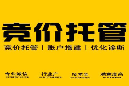 探索sem代运营机构的成功策略：多案例分析